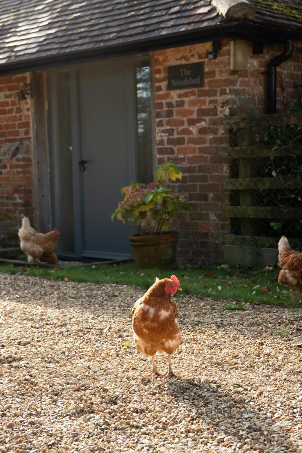Street Farmhouse Godshill  Exterior foto